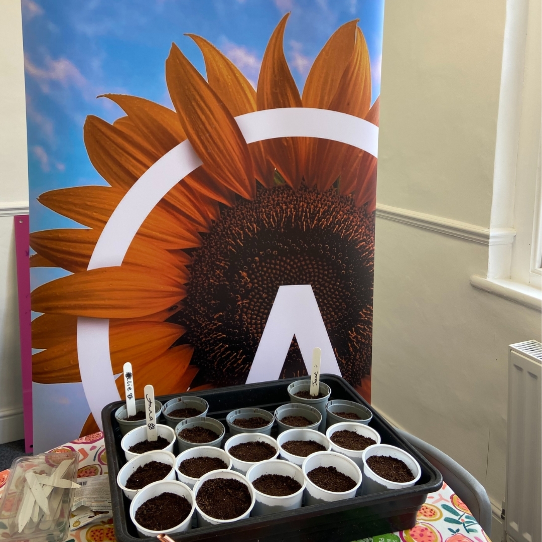 This the Altitude Squad have been invited by Growth Champion Ollie Hatton to digitally switch off for a moment and invest some time in something new....so we're planting sunflower seeds!  Stay tuned to see just how green fingered the Squad are!